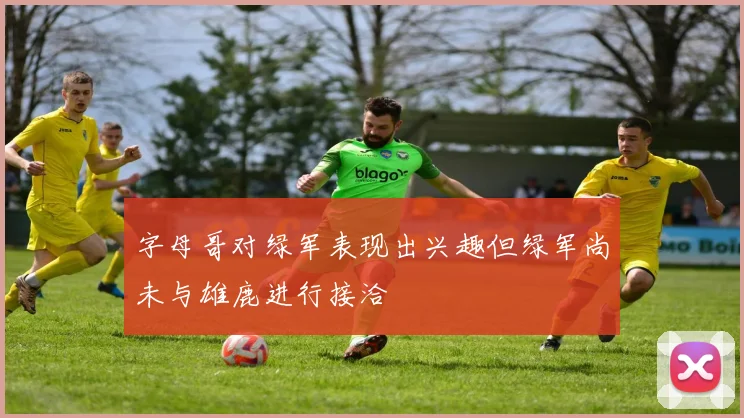 字母哥对绿军表现出兴趣但绿军尚未与雄鹿进行接洽